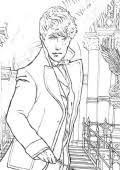 Choose your favorite coloring page and color it in bright colors. Fantastic Beasts And Where To Find Them Coloring Page