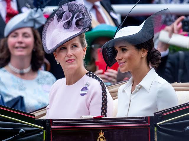 Duchess Sophie's surprise seven-word statement about Prince Harry and Meghan  Markle | Royal | News | Express.co.uk