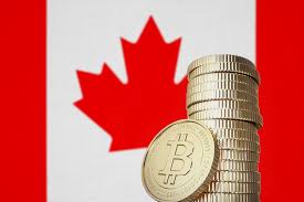 On the other hand, if the current price is $5,000 and the highest price was $20,000 two years ago, then it should be a better time to invest in bitcoin right now. Quadrigacx In Canada Has Failed But Bitcoin Otc Markets Are Thriving