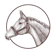Maybe you would like to learn more about one of these? Horse Head Farm Logo Concept On Behance