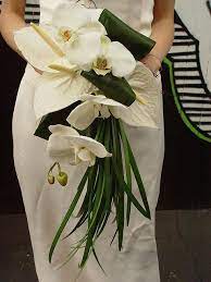 We did not find results for: Modern Bride Bouquet Of White Anthurium Anf Phalenopsis Orchids Orchid Bouquet Wedding Tropical Wedding Bouquets White Bridal Bouquet