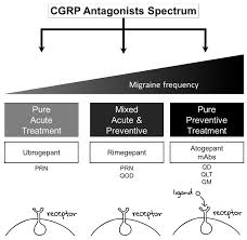 Image result for Gepant