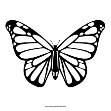 Butterfly Outline - Clipartioncom Butterfly Stencil Butterfly Outline Butterfly Coloring Page