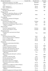 Image result for Leptactina platyphylla