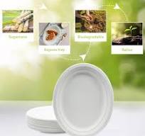 Amazon.com: three leaf 12" X 10" BAGASSE OVAL PLATE, 500 Ct ...