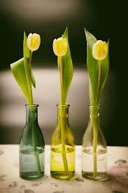 Checkout listed black tulip flowers coupon & promo code for extra discount. Tulips Flowers Spring Easter Bottles Map Postcard Greeting Card Coupon Background Pxfuel