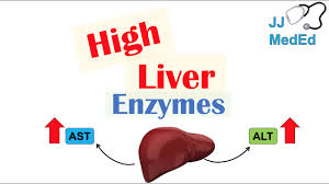 If you google ketogenic diet elevated liver enzymes you'll see others have reported issues like this, but i can't find anything definitive. High Liver Enzymes Aspartate Vs Alanine Aminotransferase Ast Vs Alt Causes Youtube