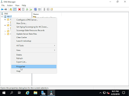 Your isp will assign you dns servers whenever you connect to the internet. Windows Server 2019 Dns Server Set Forwarder Server World