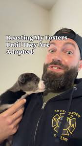 Confession: All are my favorites lol People often tell me they are afraid  to foster because they worry they will fall in love and want to keep every  dog. What no one