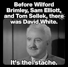 I hate the fact that Whitebeard had a mustache but no one acknowledged it