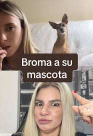 Broma divertida a su mascota con Carla Afonso