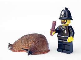 At san antonio pest control, when it comes to our clients, your safety and comfort are at the top of our priority list. Affordable Pest Control For A Healthful Life Rodent Control Specialist