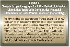 If seller consists of more than one person or entity, each such person or entity shall be jointly and severally liable with respect to the obligations of seller under this contract. Liquidation Basis Accounting And Reporting The Cpa Journal
