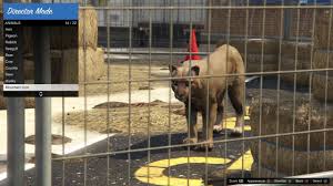 I have put in the phone number cheat and nothing happens, i have also… Cougar Mountain Lion Gta 5 Animals How To Play Where To Find