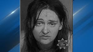 Woman accused of pushing 3-year-old onto MAX tracks in 'unprovoked' NE  Portland attack