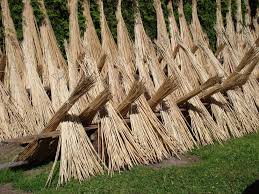 из чего можно сделать забор на даче своими руками Instrukciya Kak Sdelat Zabor Na Dache Svoimi Rukami Zabor Dacha I Vetvi Ivy