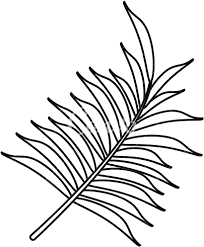 80 photos · curated by pineapple supply co. Tropical Leaves Png Transparent In Balck Palm Leaf Outline Png Full Size Png Download Seekpng