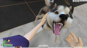 Your sims care for, train and play games with their pets who all exhibit. The Sims 4 First Person Camera Feature Overview