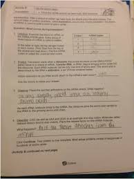 The ability to modify dna raises some difficult ethical questions. 32 Rna And Protein Synthesis Gizmo Worksheet Answers Worksheet Resource Plans