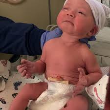 Ryan J (@jboyswolfpack) • Instagram photos and videos