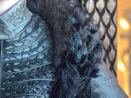Game Of Thrones Hidden Meanings In Sansa S Queen In The North Gown Insider Sansa Game Of Thrones Costumes Sansa Stark Costume