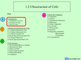 We did not find results for: Pdf Ib 1 2 Ultrastructure Of Cells Xavier Daniel Academia Edu