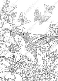 Coloring Pages For Adults Digital Coloring Page Hummingbird Etsy In 2021 Animal Coloring Pages Detailed Coloring Pages Bird Coloring Pages