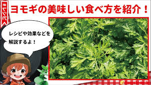 ヨモギの美味しい食べ方 おすすめレシピや栄養効果を解説 Youtube