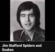 What is the song Spiders and Snakes by Jim Stafford about?