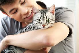 The youngest a kitty should be before she's spayed is 8 weeks old. When To Spay Neuter Your Pet