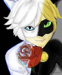 Chat Noir Chat Blanc Miraculous Ladybug Fan Art Miraculous Ladybug Memes Miraclous Ladybug
