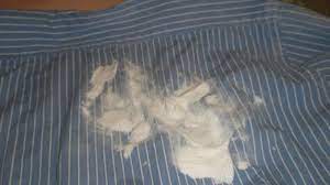 We did not find results for: 3 Astuces Efficaces Pour Enlever Des Taches D Huile Sur Un Vetement