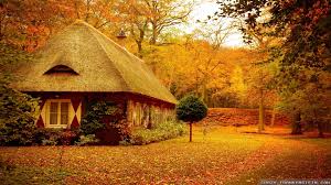 A collection of the top 45 pc wallpapers and backgrounds available for download for free. Autumn Scene Wallpapers 54 Autumn Wallpaper Examples Autumn Wallpapers For Desktop 1920x1080 Download Hd Wallpaper Wallpapertip