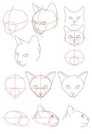 Cat Tutorial Head By Perianardocyl On Deviantart Cat Drawing Tutorial Drawing Tutorial Cat Face Drawing