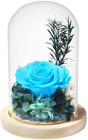 Shop silk wedding flowers by color at afloral. Amazon Com Flove Forever Rose In Glass Dome With Preserved Real Tiffany Blue Flowers Handmade For Women Girls Eternal Flowers Decor For Mother S Day Birthday Anniversary And Wedding Home Kitchen