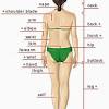 Female anatomy includes the external genitals, or the vulva, and the internal reproductive organs. Https Encrypted Tbn0 Gstatic Com Images Q Tbn And9gcq1shwgzjupxovgn9sva7j3k Licipuor63mgcdyq5 Ncacfxql Usqp Cau