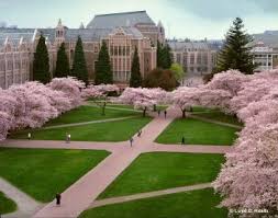 Attorney General S Office University Of Washington Division University Of Washington College Campus Dream City