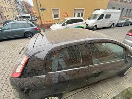 Haben sie ein schönes frühlingsfoto für uns? Gelber Himmel Verdreckte Autos So Wirkte Sich Der Sahara Staub In Der Region Aus Nurnberg Nordbayern De