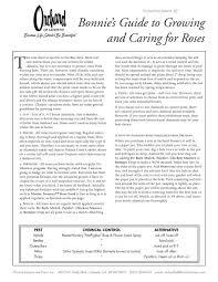 Their use ranged from small home gardens to large. Bonnie S Guide To Growing And Caring For Roses Orchard Nursery