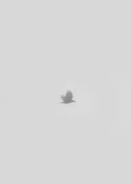 Animated Birds Flying In The Sky Gif Https Encrypted Tbn0 Gstatic Com Images Q Tbn 3aand9gct6oyvc5f8ra3ybpzbeo4hkuht2fy3 X1ycla Usqp Cau
