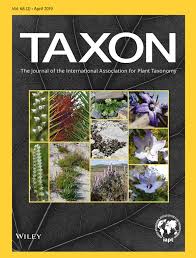 Image result for Lipocarpha monostachya