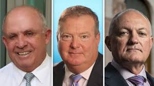 Annette Sharp: Four new directors for troubled Greyhound Racing NSW