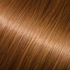 Caramel Blonde Hair Colour Chart Best Image 2017