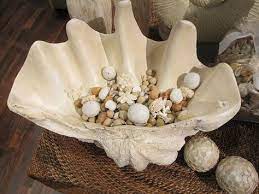 Clam shell decor nzone fishhawk. Make Your Own Faux White Porcelain Giant Clam Bowl Giant Clam Giant Clam Shell White Porcelain