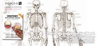 One page provides an overview of the relevant anatomical part while the facing page includes pictures to color with multiple views. Ideas For The Anatomy Coloring Book Wynn Kapit Sugar And Spice