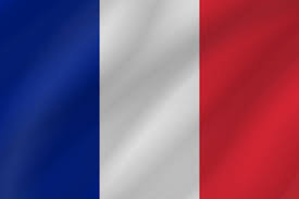 Try to search more transparent images related to france flag png |. France Amsterdam Declarations Partnership