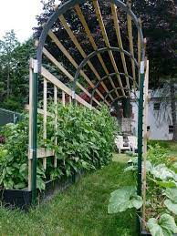 Here are a few ideas of what to plant on your own arch trellis: Pin On Gardening
