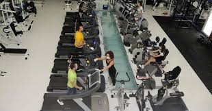 Palestra, ancient greek wrestling gymnasium, wrestling schoo: Palestre Crescono Le Richieste Di Corsi Ibridi E Prodotti Multi Servizio Il Sole 24 Ore