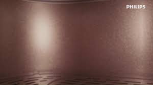 Image result for Philips RT-2000