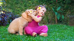 They share the purest form of love. Puppies And Babies Playing Together Compilation Youtube